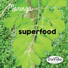 Cápsulas de moringa, 100 cap x 500g c/u